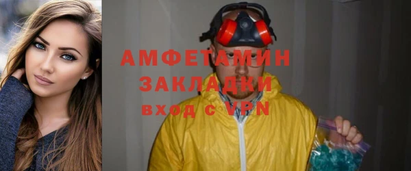 молекула духа Бородино