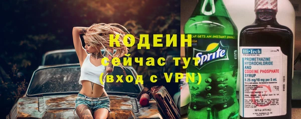 молекула духа Бородино