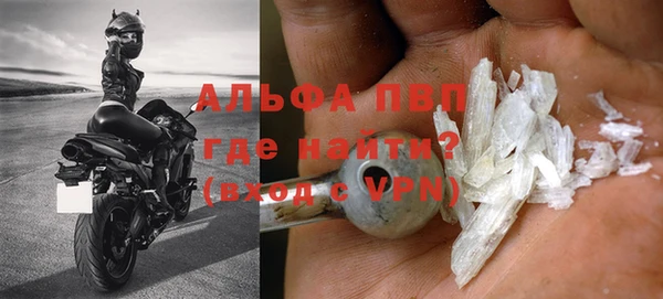 молекула духа Бородино